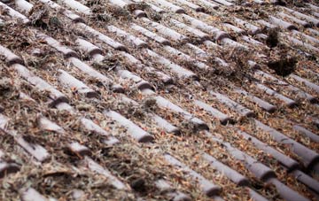 Leek Wootton roof cleaning companies